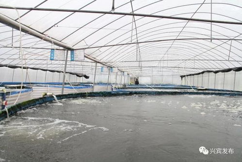 水产养殖新模式 探绿色发展新路
