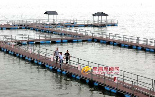 水产养殖 绿色财富驱动助农增收新引擎