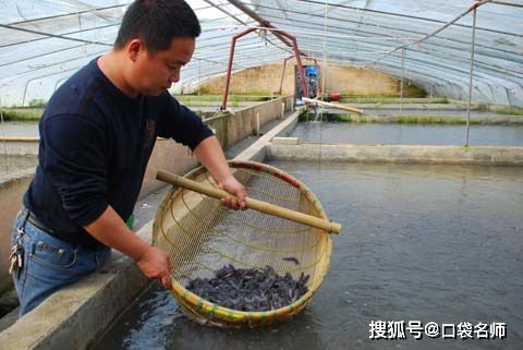 这些大学专业真的存在？葡萄干晾晒与水产养殖，你听过几个？