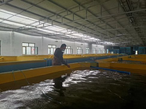 南疆水产养殖迎新篇 循环水工厂化基地在新和县试运行