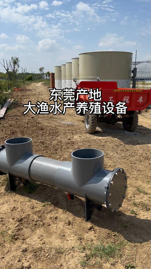 大型循环水养殖基地抖音小助手工厂化循环水养殖高密度水产养殖pp鱼池